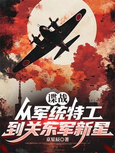 ��ս���Ӿ�ͳ�ع����ض�������_���ǳ���Ʒ_��ʷС˵